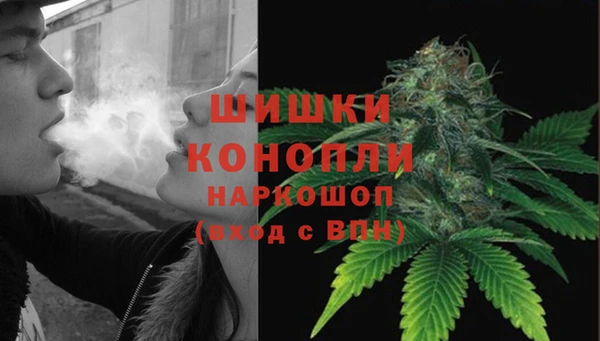 гидра Богородицк