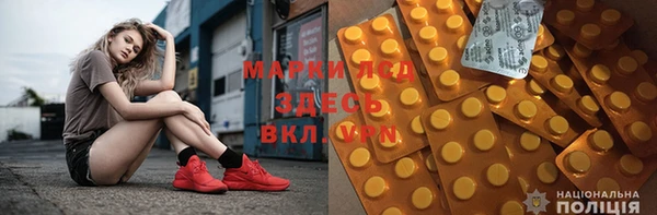 гидра Богородицк