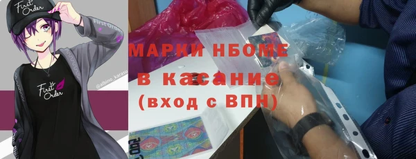гидра Богородицк
