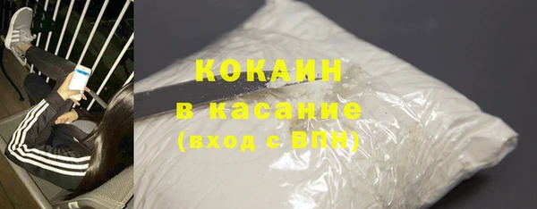 гидра Богородицк