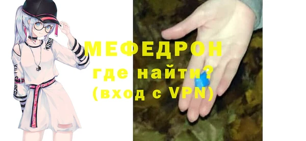 гидра Богородицк