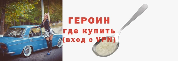 гидра Богородицк