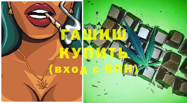 гидра Богородицк