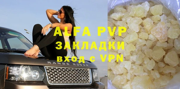 гидра Богородицк