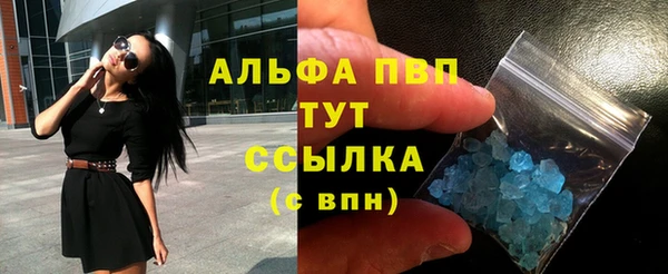 гидра Богородицк