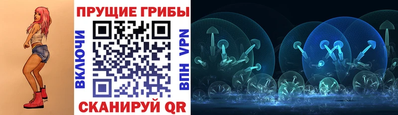 Псилоцибиновые грибы Psilocybe  это наркотические препараты  Корсаков 